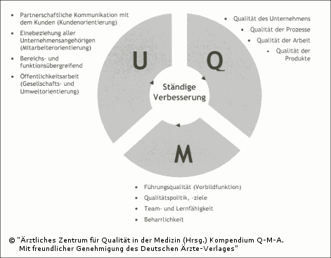 Abb. 2.2: Grundpfeiler des Umfassenden Qualitätsmanagements – die drei Inhalte