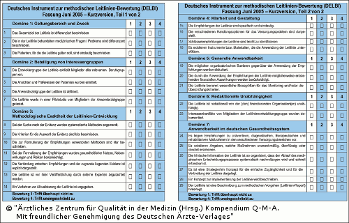 Abb. 7.2: Deutsches Instrument zur methodischen Leitlinien-Bewertung (DELBI) - Kurzfassung