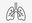 Deutscher Lungentag 2023 – Das ÄZQ informiert zu Lungenerkrankungen